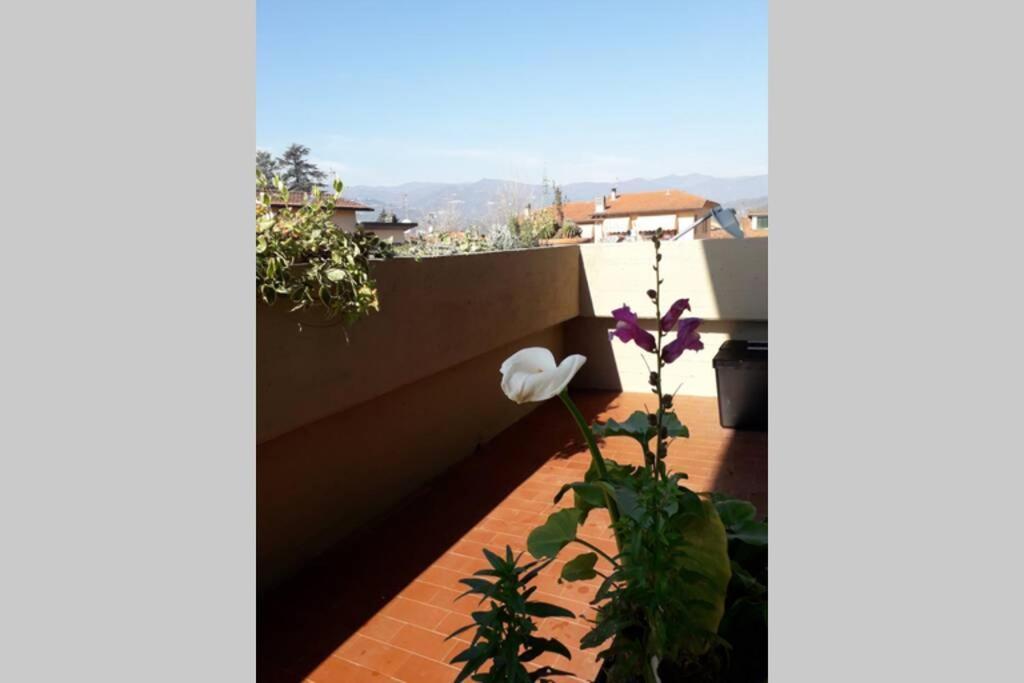 Apartmán Locazione Turistica Chichibio Pistoia Exteriér fotografie
