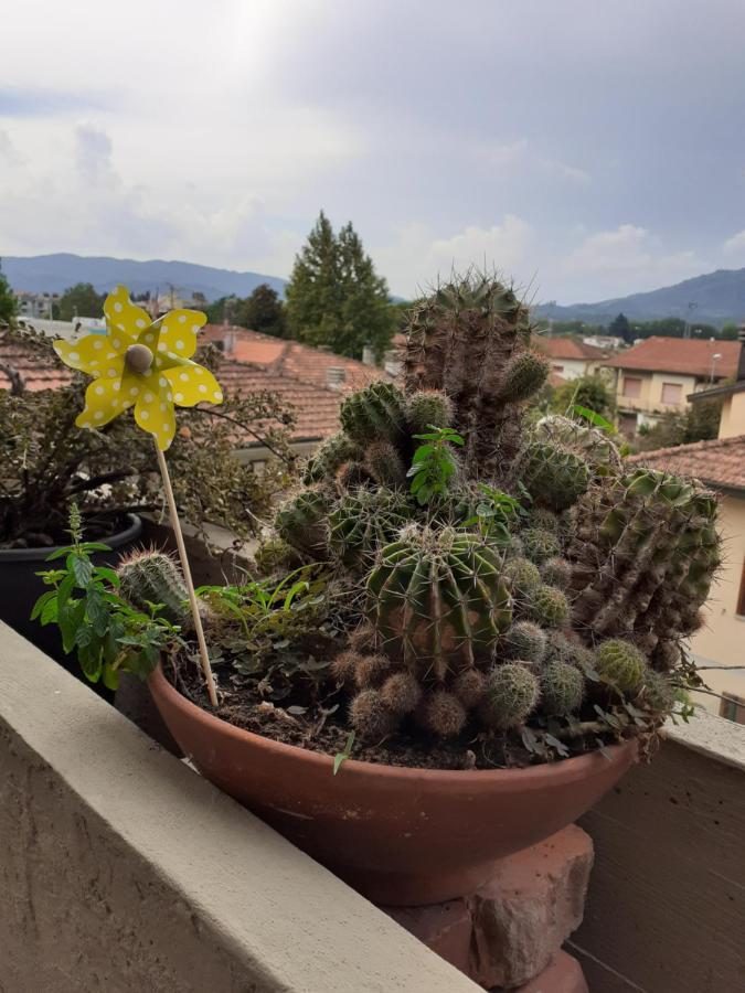 Apartmán Locazione Turistica Chichibio Pistoia Exteriér fotografie